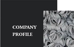 Company profile 公司简介